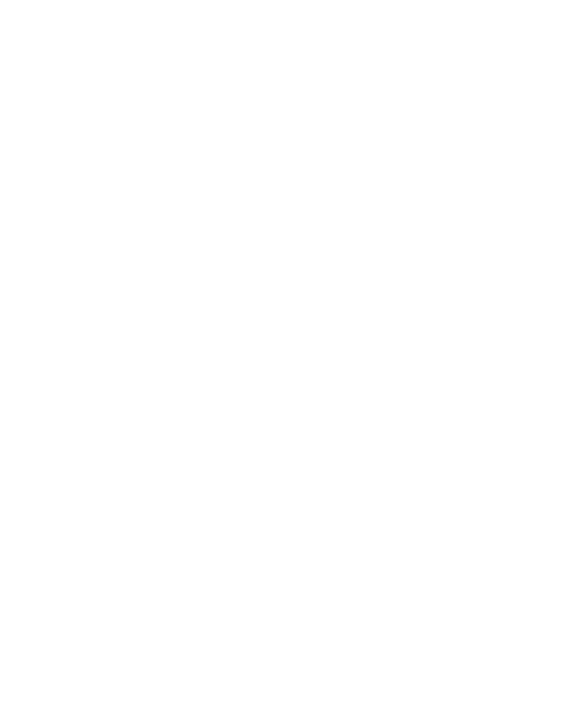 velocifero logo 1